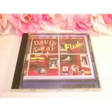 CD David Grey Flesh Gently Used CD 1999 Virgin Records